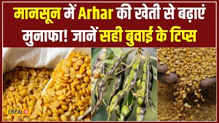 Arhar की Kheti से पाएं ज्यादा मुनाफा Scientific Methods से कैसे करें बुवाई local18 [upl. by Paderna]