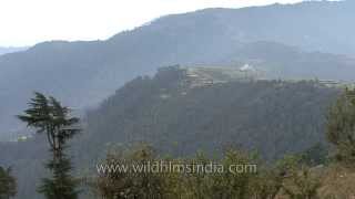 Forgotten hill station  Chakrata Uttarakhand [upl. by Lacee]