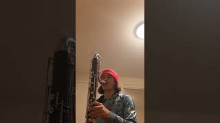 Davy Jones Theme  Eb Contrabass Contralto Clarinet [upl. by Angelina]