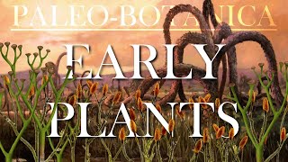 The Evolution of early Plants [upl. by Rahr]