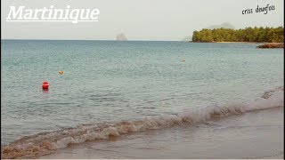 Son de La Mer pour Tendormir  Martinique  Caraïbes  Relax  Les Antilles  France [upl. by Walrath]