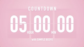 5 Hours Countdown Flip Clock Timer  Simple Beeps 🌸🔔 [upl. by Beal]