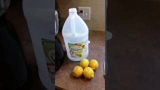 Making a lemon vinegar CLEANER [upl. by Aynnat486]