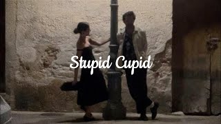 Stupid Cupid  Mixed by Carmela [upl. by Jevon]