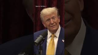 Joe Rogan explains to Trump why he got more publicity than his opponents [upl. by Melena]