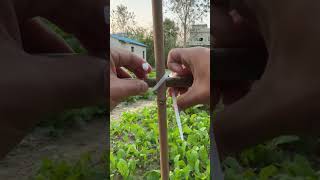 Fixing process of nylon ties for vegetable patch bamboo frame [upl. by Gothard]