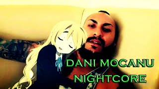 Dani Mocanu  Afaceri Ilegale NIGHTCORE â–â–¬â– â– â–€â–â–€ 2023 [upl. by Russi644]