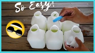 Easiest Kratky Method for Hydroponic Growing [upl. by Zephan240]