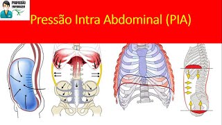 Pressão Intra Abdominal PIA saiba como medir a PIA pressão intra abdominal [upl. by Nnyluqcaj461]