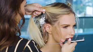 Creme DBlonde Hair Color Technique Tutorial [upl. by Reeves]