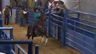 Kassie Mowry  2023 NFR Round 8 [upl. by Ahtiekahs]