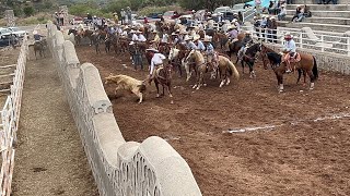 Rodeo en mimbres Valparaíso 22 diciembre [upl. by Vanya]