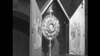 The Death and Life of Saint Faustina Part I [upl. by Ahsitra]