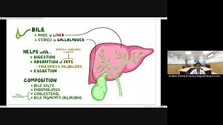 Lecture 1  Hepatobiliary system by Dr Paramita Paul Asst Prof Dept of Pathology IMS BHU [upl. by Weibel283]