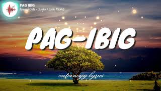 PAG IBIG  SPONGE COLA Lyrics  Lyric Video [upl. by Winser]