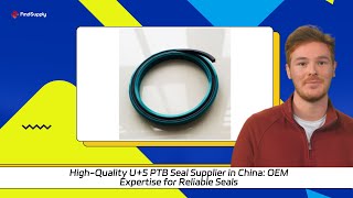 HighQuality US PTB Seal Supplier in China OEM Expertise for Reliable Seals [upl. by Nickie]