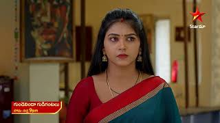 Gundeninda Gudigantalu  Promo  21st Nov 2024  Star Maa Serials  MonFri at 9 pm  Star Maa [upl. by Forelli432]