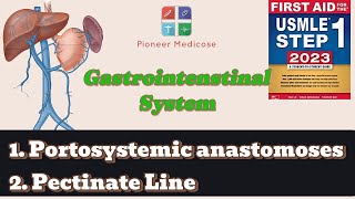 Portosystemic anastomoses pectinate line anatomy of GIT from first aidpart 4USMLEUrduHindi [upl. by Yelrahs]