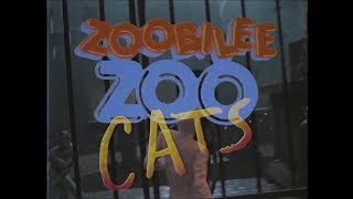 Zoobilee Zoo Cats  Cats Movie Trailer Parody [upl. by Airaet]