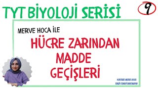 TYT BİYOLOJİ HÜCRE ZARINDAN MADDE GECİŞLERİ tyt [upl. by Idnal]