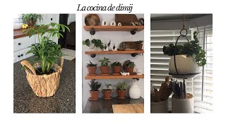 Como decorar una cocina con plantas [upl. by Alvan]