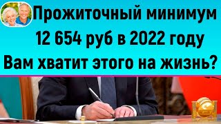 Прожиточный минимум в 2022 г будет 12654 рублей  Этих денег хватит на жизнь [upl. by Namara]