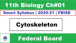 Cytoskeleton Structure and Function Class 11 Biology Ilmi Stars Academy [upl. by Cutter]