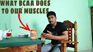 How BCAA helps in muscle growth [upl. by Urion]