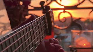 Alan Gogoll  ECHIDNAS PARADE French Sunset  Fingerstyle Acoustic Guitar [upl. by Kippar]