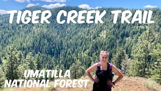 Tiger Creek Trail Umatilla National Forest in Oregon Great Views and Yes We Got Lost…Again [upl. by Zurciram]