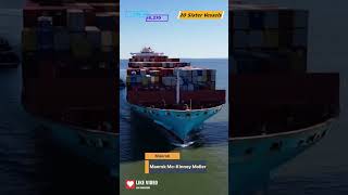 Container Ships  Maersk McKinney Moller shipping sailor cadet ship [upl. by Eneryt]