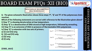 The given schematic illustration shows three steps ‘P’ ‘Q’ and ‘R’ of the polymerase chain react [upl. by Atinaj]