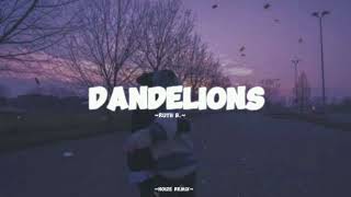 Dandelions by Ruth B  Dandelions  Noize remix [upl. by Leisam410]