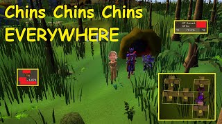 You can make HOW much hunting Red Chins in 2024 Old School RuneScape Osrs GIVEAWAY [upl. by Paddie3]