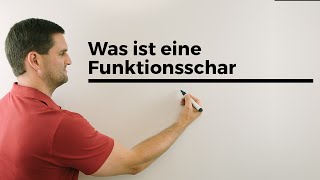 Was ist eine Funktionsschar Teil 4 Parameterfunktion Kurvenschar  Mathe by Daniel Jung [upl. by Bruning641]