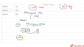 How many meiotic divisions are essential in formation of 100 seeds in Cyperaceae family [upl. by Nerot]