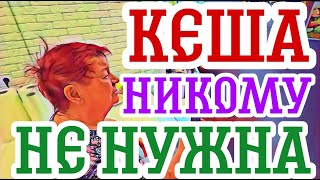 Самвел Адамян у всех простудифилисНадя нашла способ мстить всем одновременноПопова 🐷 [upl. by Isnam920]