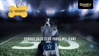 Ganador® Premium – Croqueta oficial de la NFL [upl. by Savinirs380]