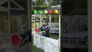 5 fruits and paintball gun 🔫 [upl. by Analos]