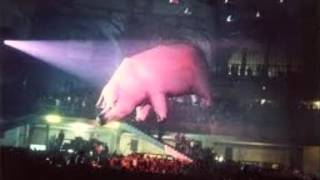 Pink Floyd  Live  Festhalle Frankfurt Germany  January 26 1977  Full Concert [upl. by Ambrosio]