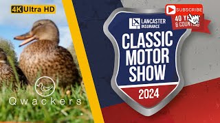 Classic Motor Show 2024 classiccars car motorcar carshow cars [upl. by Ramilahs885]