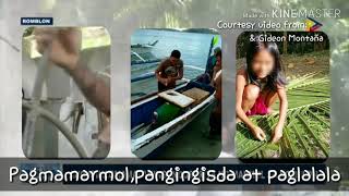 Romblon Bayang Minamahal with Lyrics Instrumental [upl. by Kealey679]