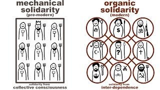 Durkheims Mechanical and Organic Solidarity what holds society together [upl. by Hausmann]