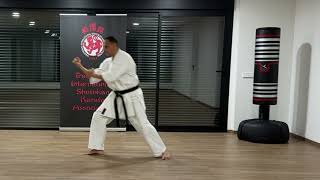 The Official Tiska Karate 5 Heian Yondan Detailed Tips [upl. by Anavi]