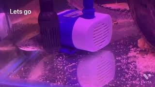 Which submersible pump is best for aquarium [upl. by Christiano826]