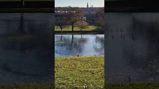 edinburgh scotland iskoçya inverleithpark amethystastrotarot ponds frost ice [upl. by Elbertina]