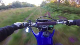 Yamaha WRF 400 1998 Enduro Ride Forest Sound [upl. by Aracahs]