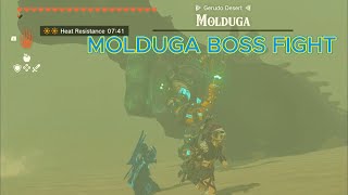 How to Easily Defeat Molduga in Zelda Tears of the Kingdom [upl. by Nohsram]