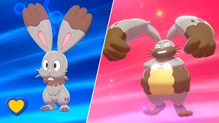 HOW TO Evolve Bunnelby into Diggersby in Pokémon Sword and Shield [upl. by Frans]