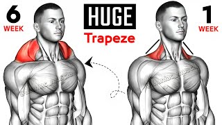 17 BEST EXERCISE TRAPS WORKOUT 🔥 [upl. by Nwhas]